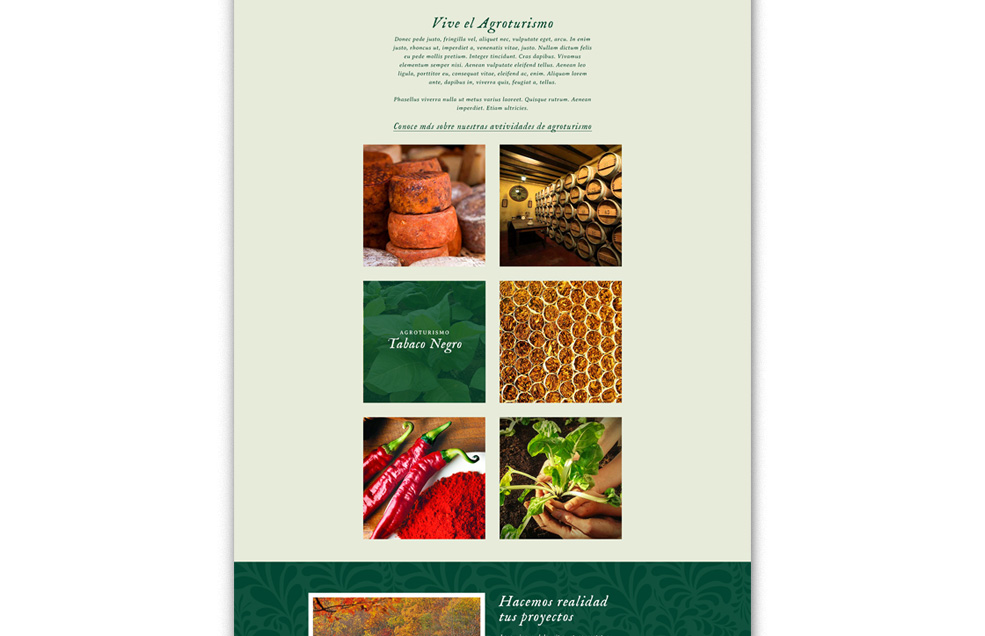 Diseño Sitio Web CARCHÉN Agroturismo