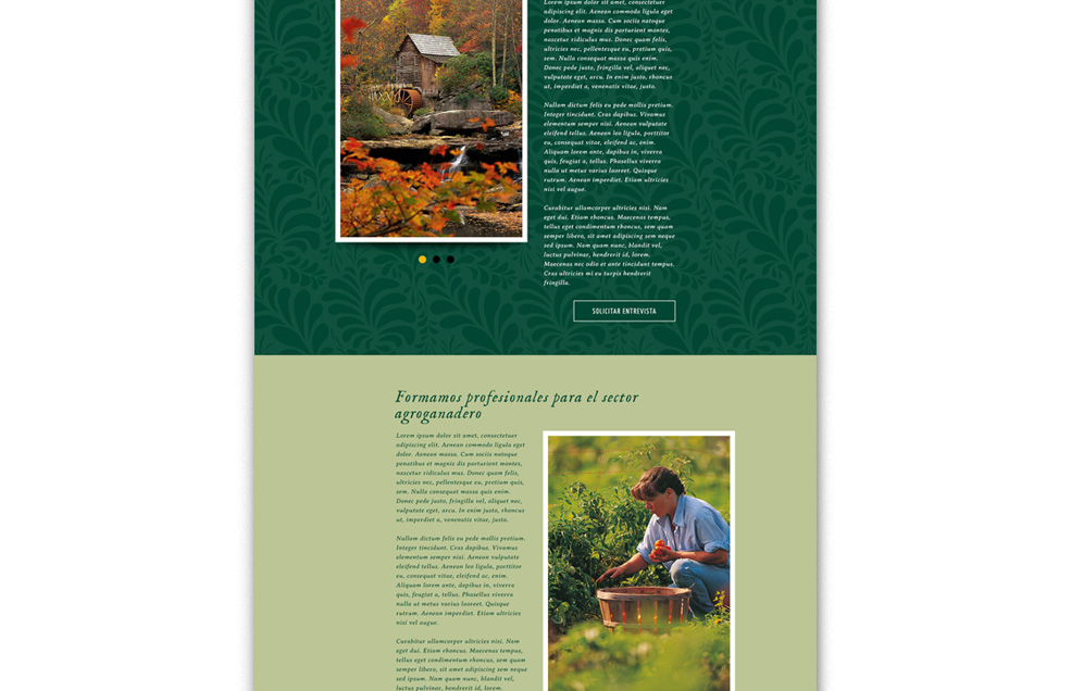 Diseño Sitio Web CARCHÉN Agroturismo