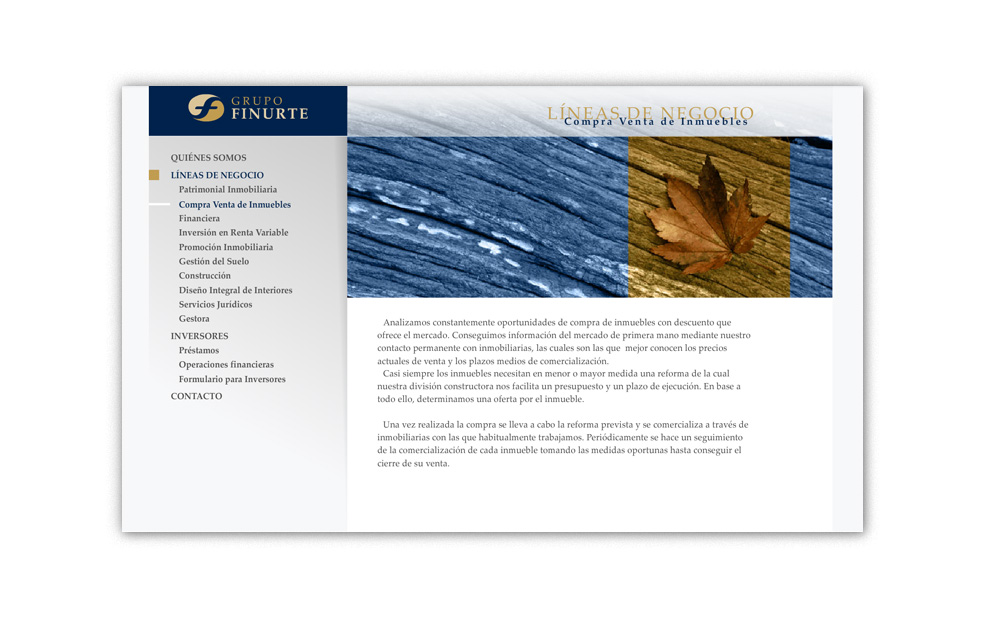 Diseño Sitio Web GRUPO FINURTE Grupo de empresas de los sectores financiero e inmobiliario