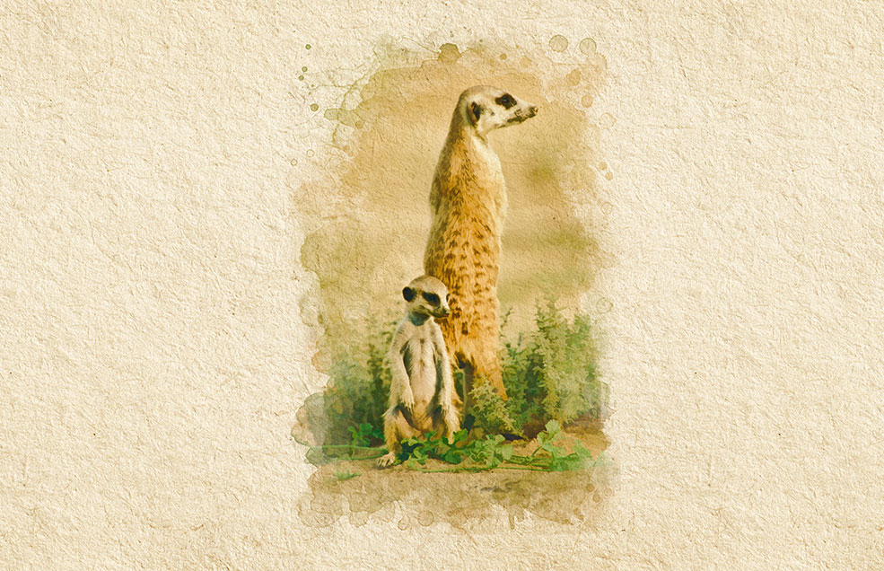 Infografías para catálogo de viajes África - Fulani Travel