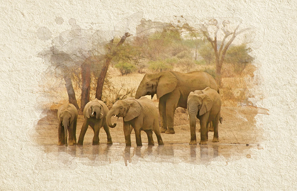 Infografías para catálogo de viajes África - Fulani Travel