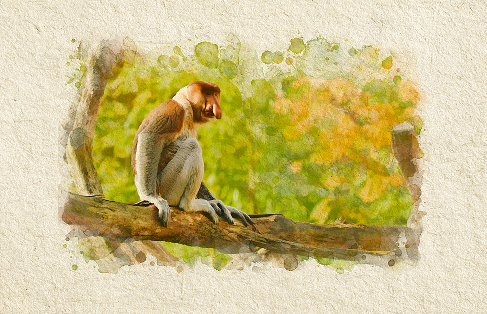 Infografías para catálogo de viajes Asia - Fulani Travel