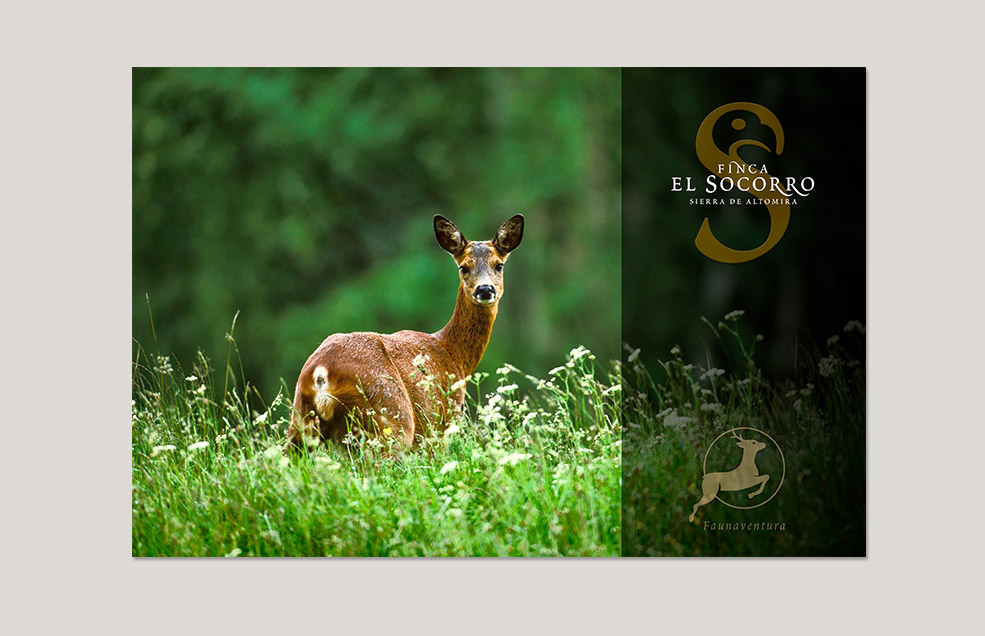 Identidad Visual de Finca El Socorro - Sierra de Altomira (Guadalajara)