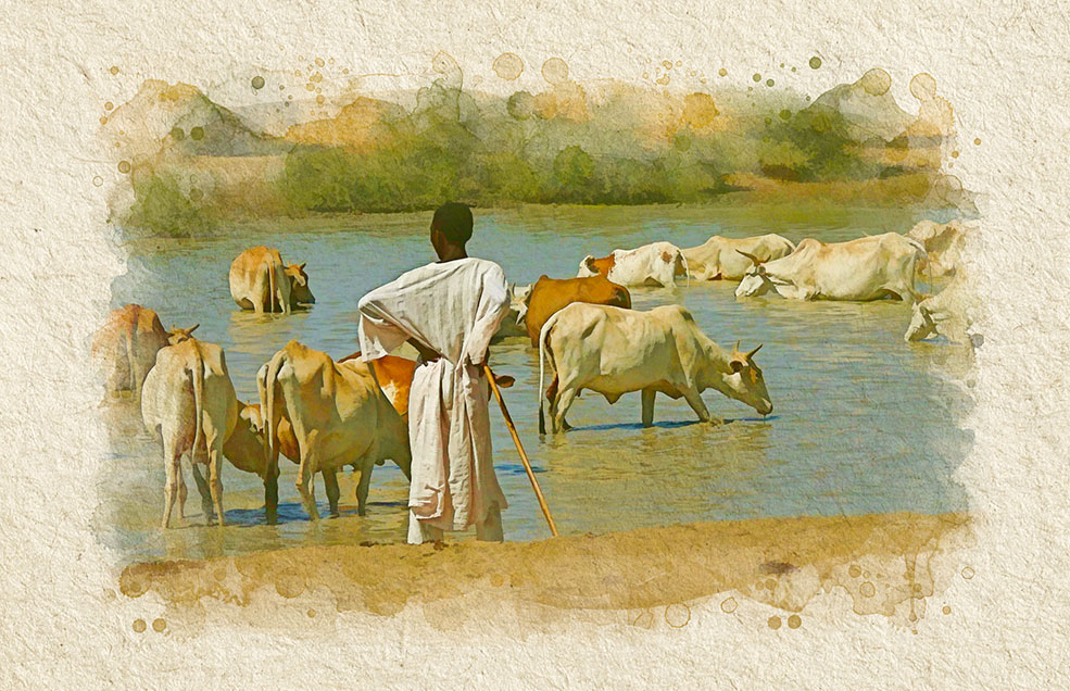 Infografías para catálogo de viajes África - Fulani Travel